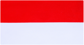 Flags - Jonas Brothers (1)