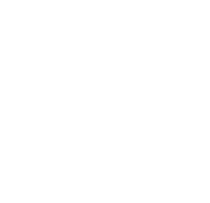 villa-one-logo-white-300